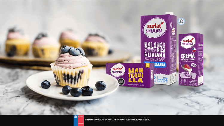 Blueberry-Cupcakes